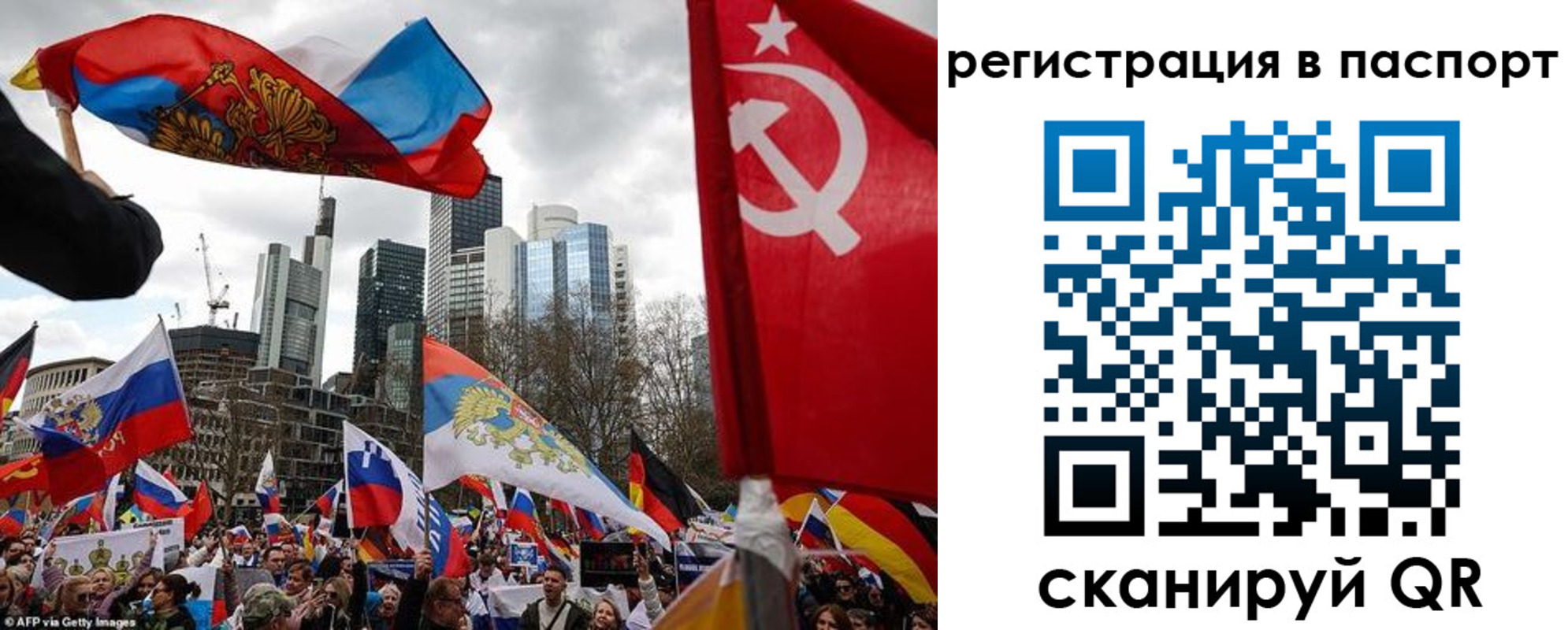 временная регистрация поиск в Калининграде